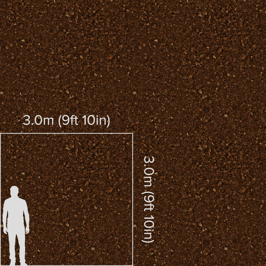 Soil With Forest Debris Texture