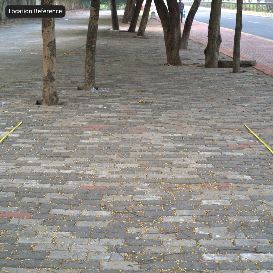 Fallen Leaves on Running Bond Stone Paver Texture