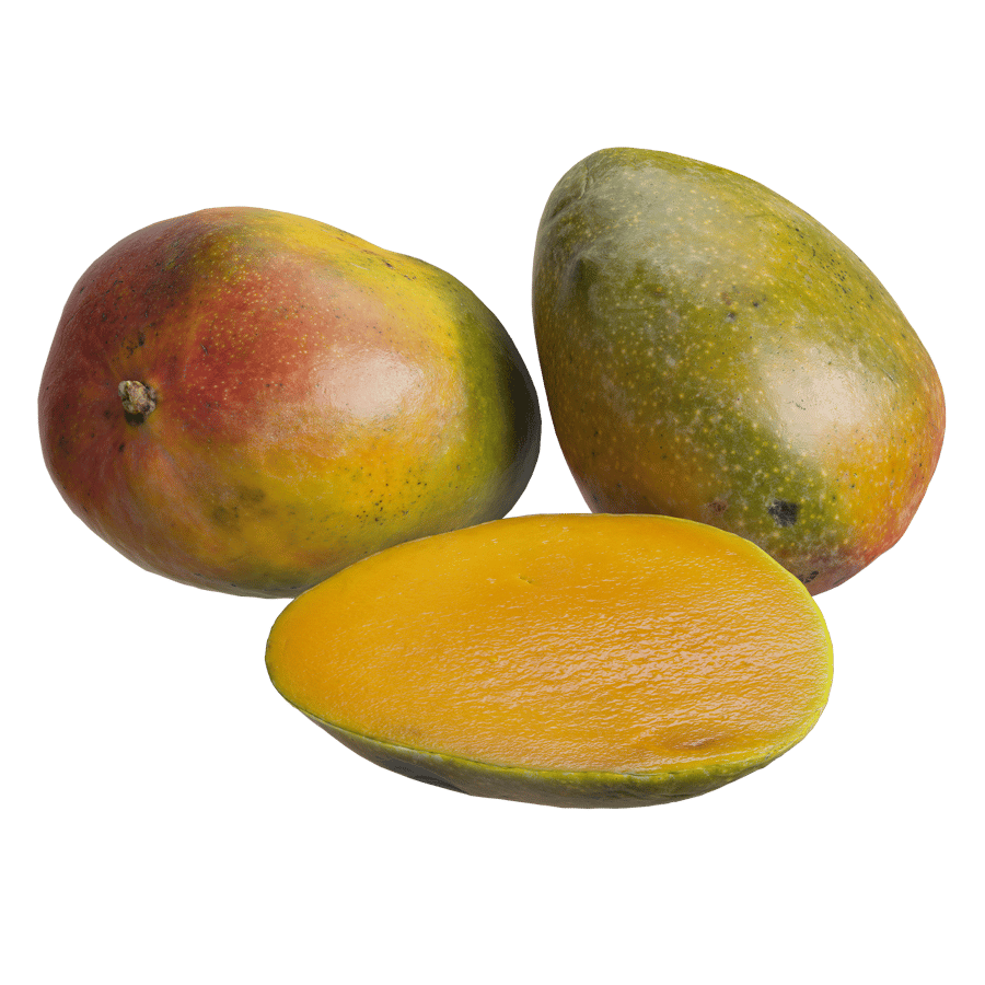 Mango Models