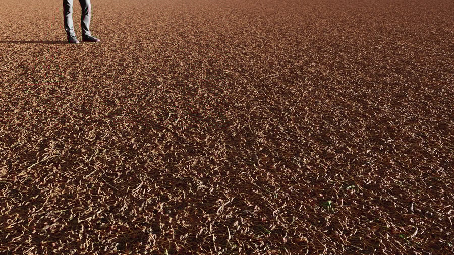 Forest Needles and Seeds Texture