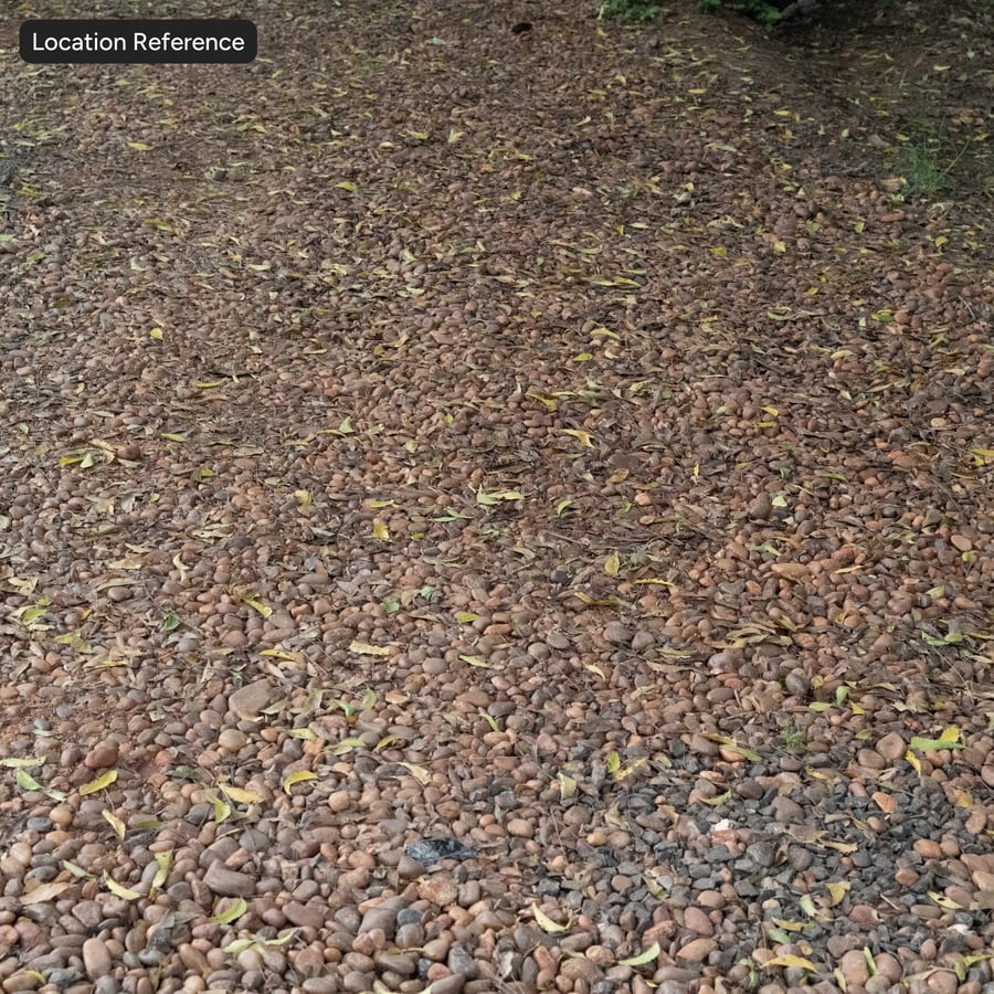 Herfstbladeren op rotsachtige kiezelgrondtextuur