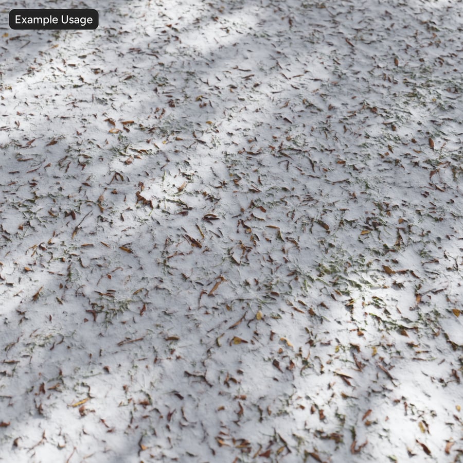 Snow and Leaves on Grass Texture
