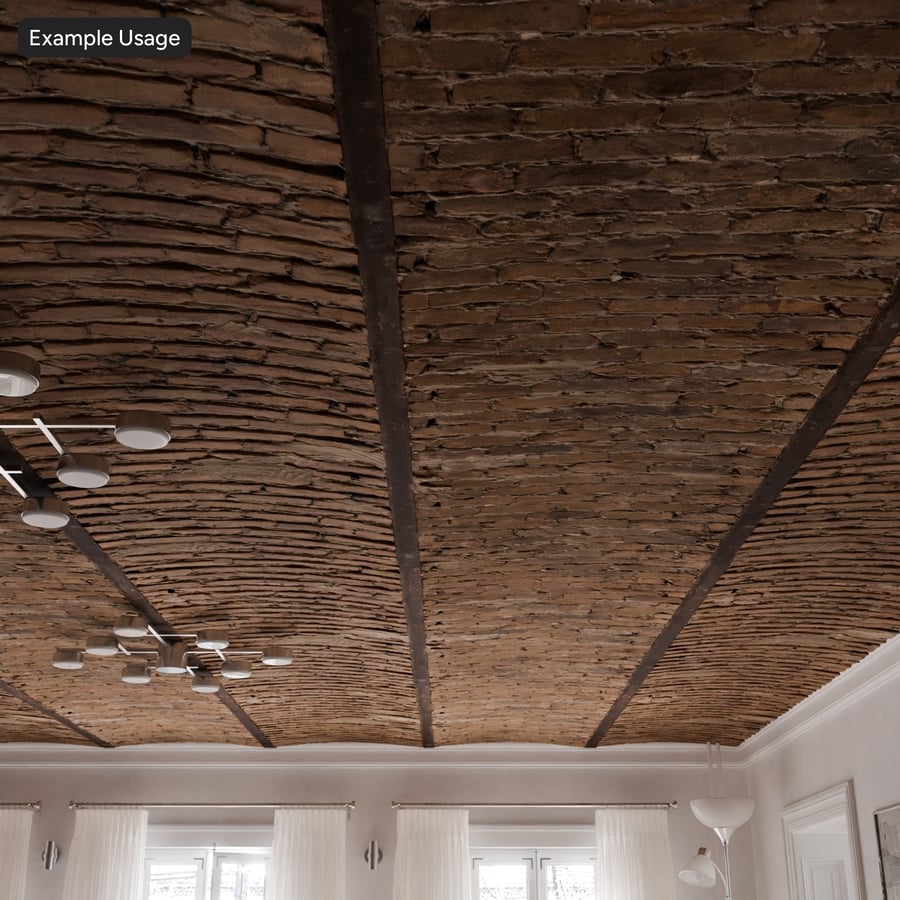 Arched Weathered Brick with Grid Ceiling Texture