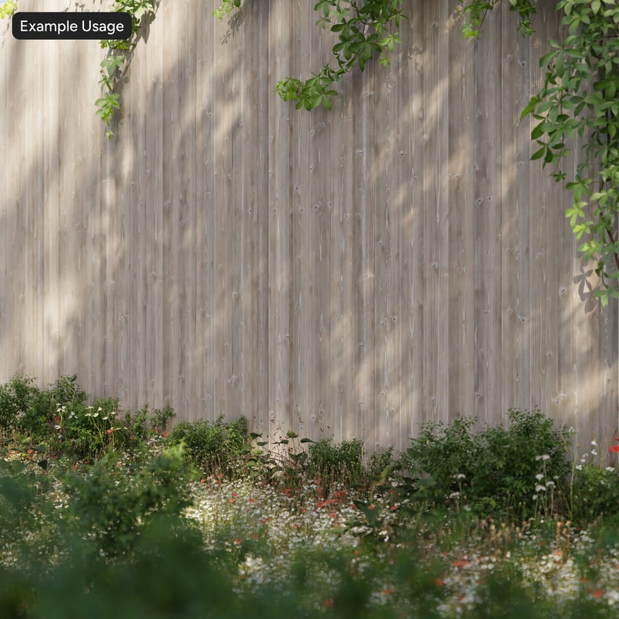 Smooth Spruce Wood Board Texture, Natural