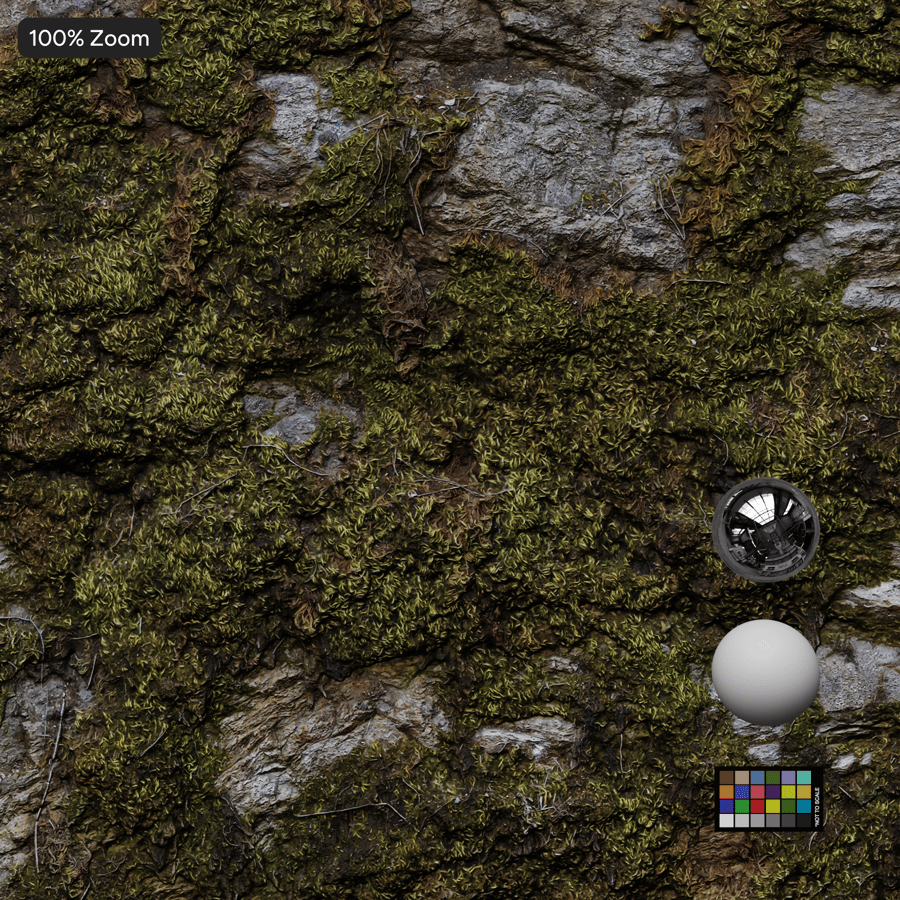 Texture rocheuse de la falaise moussue