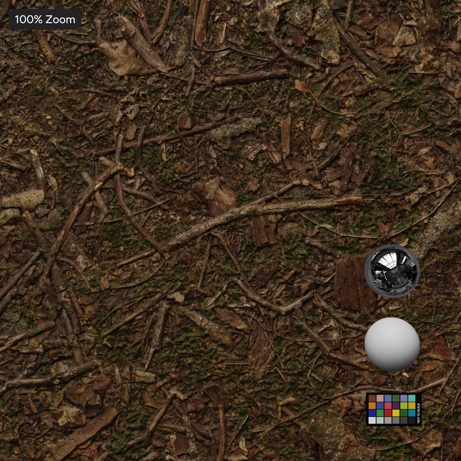 Stick Debris on Forest Texture