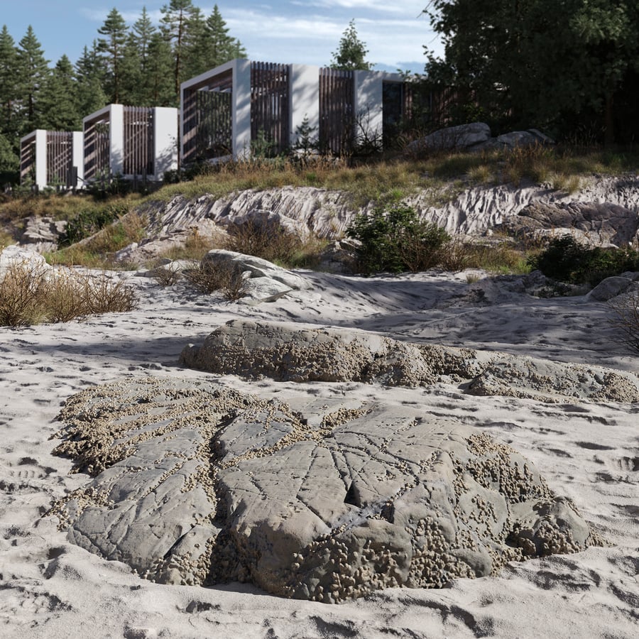 Medium Limpet Covered Beach Rock Model