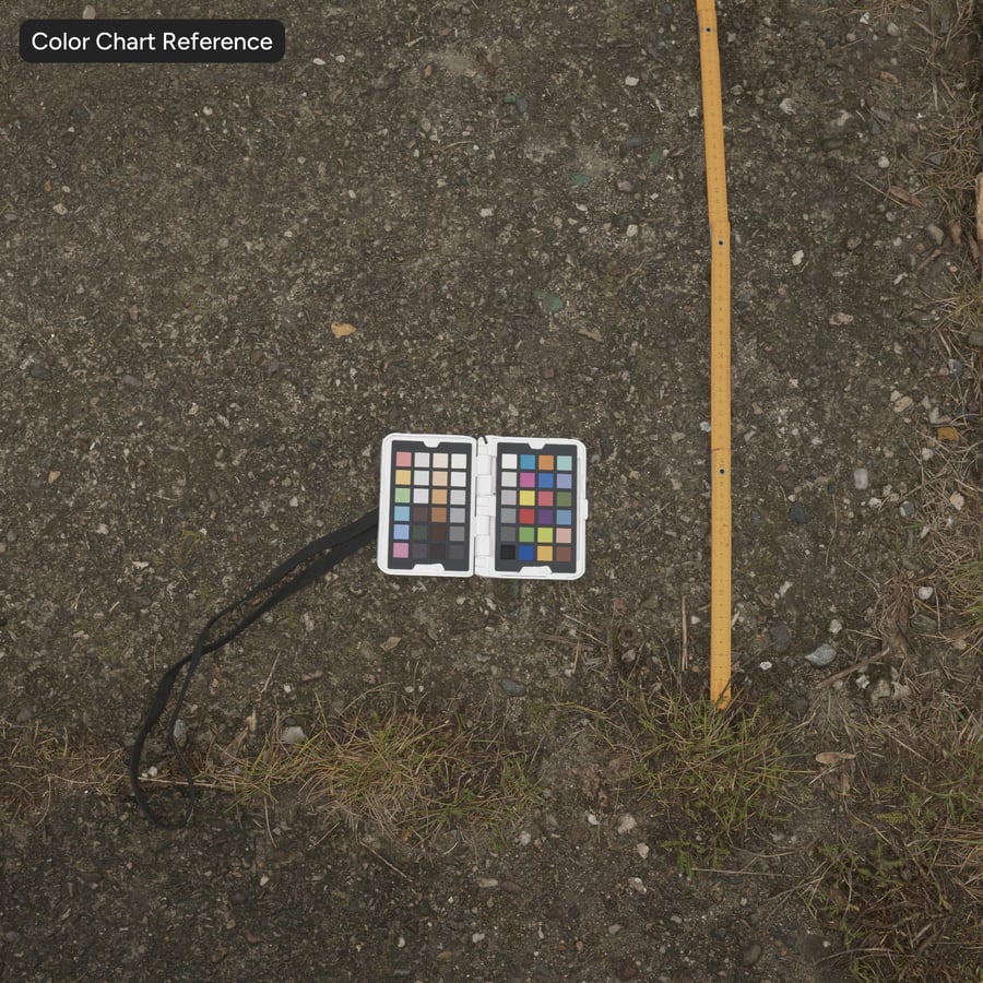 Texture de route asphaltée roughness