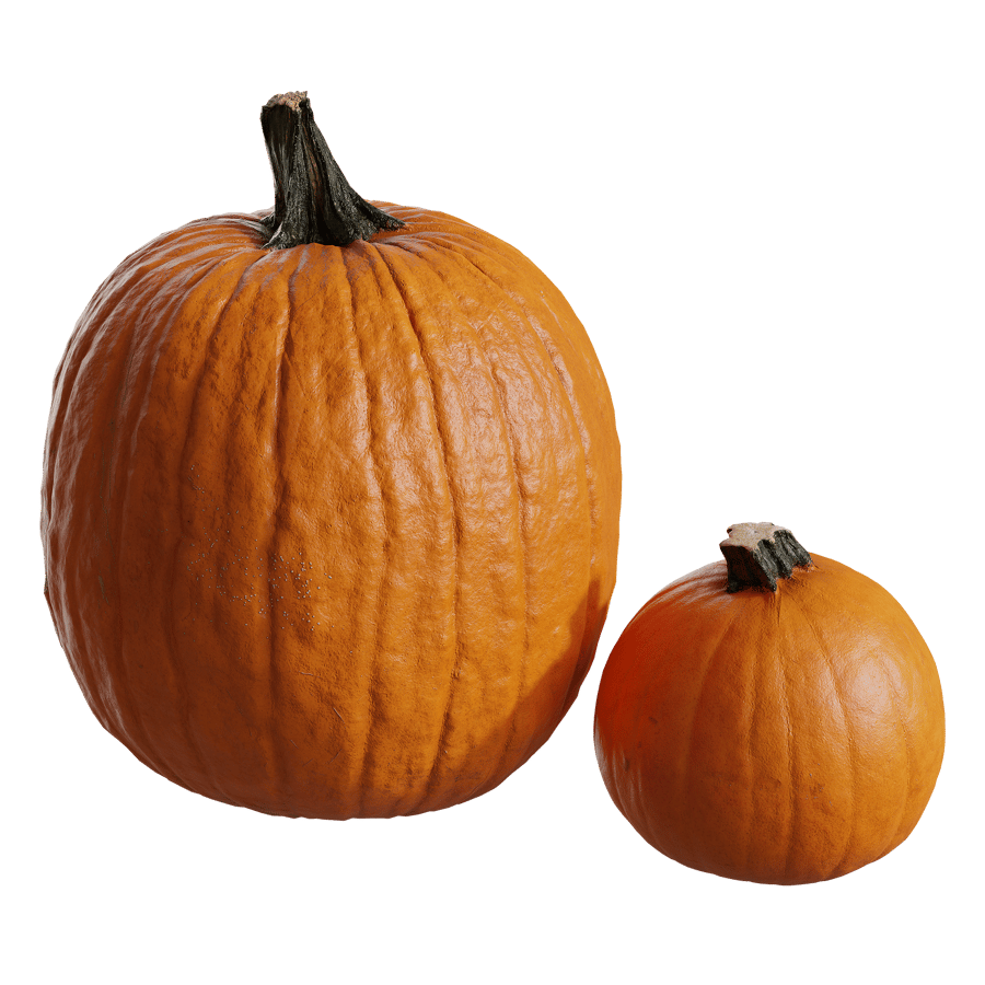 Large Pumpkin Models Collection