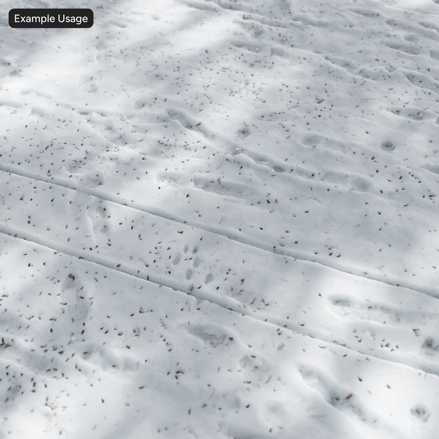 Debris and Footprint on Snow Texture