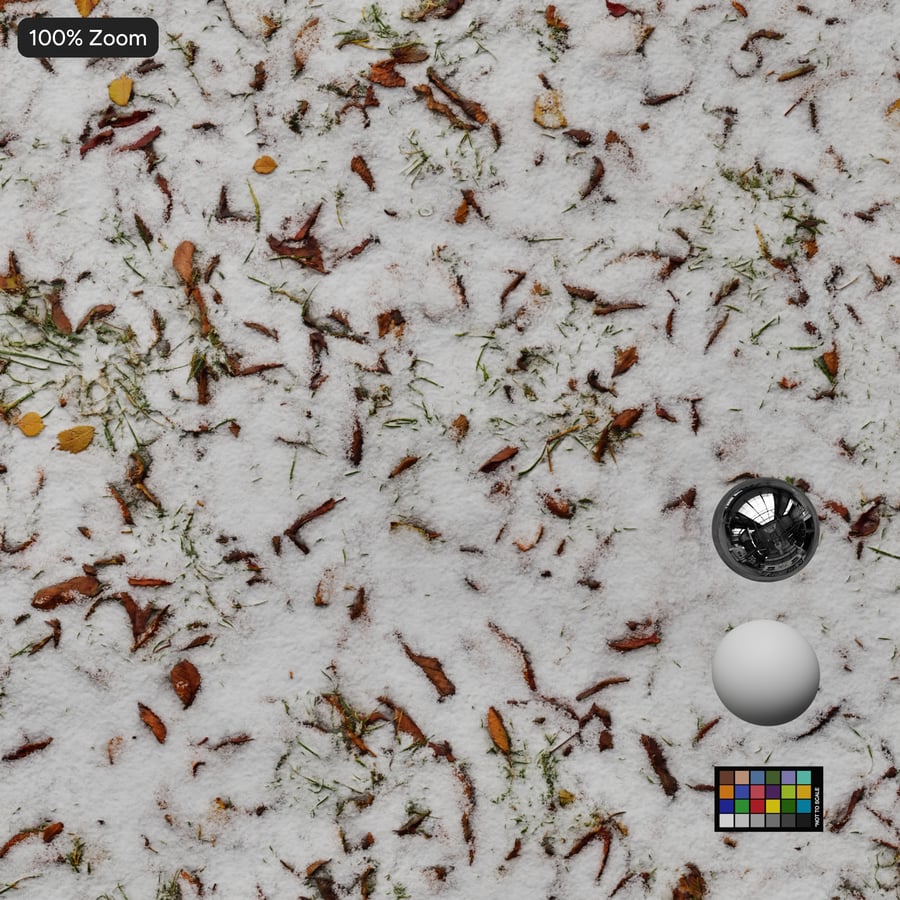 Snow and Leaves on Grass Texture
