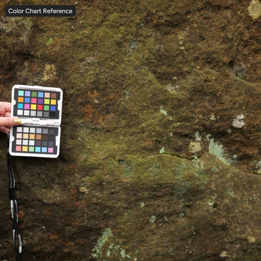 Textura de roca cubierta de musgo liquen, amarilla