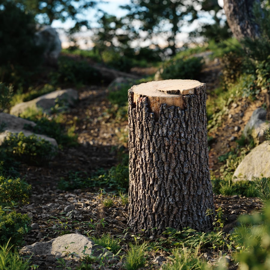 Medium Fresh Cut Deciduous Stump Model