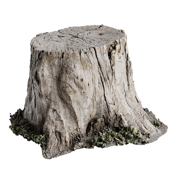 Short Cut Old Bare Stump Model
