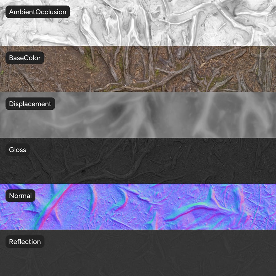 Textura de raízes de árvores na floresta