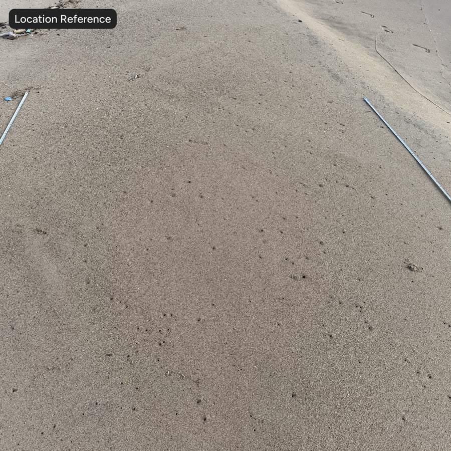 Wet Beach Sand Texture