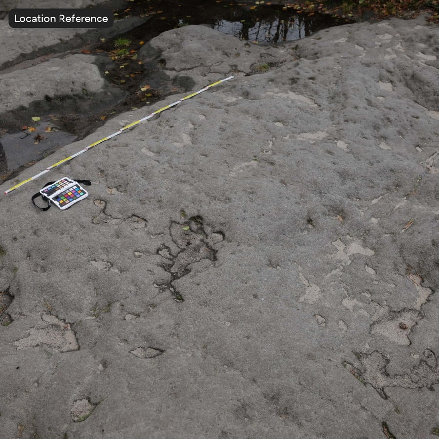 Pitted Rock Ground Texture, Grey