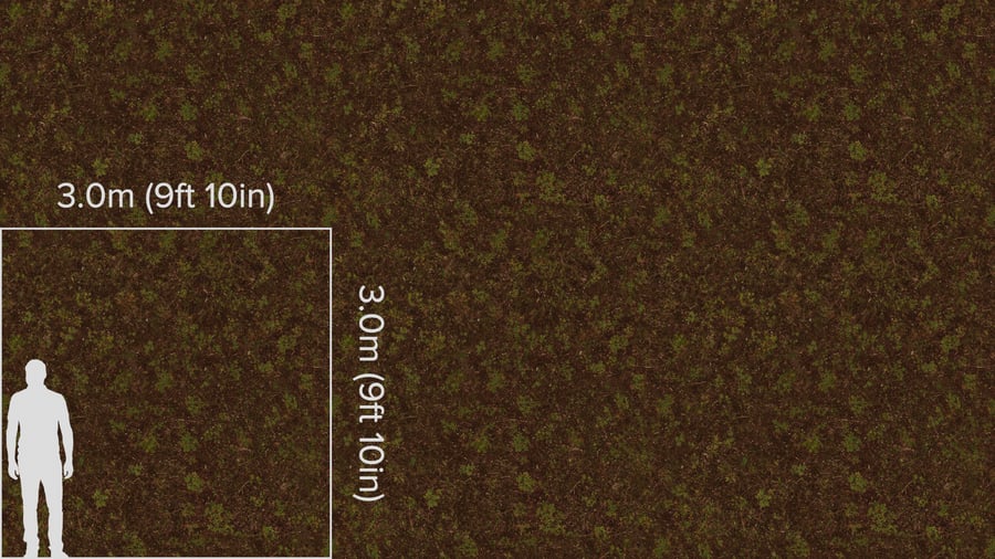 Textura de floresta irregular