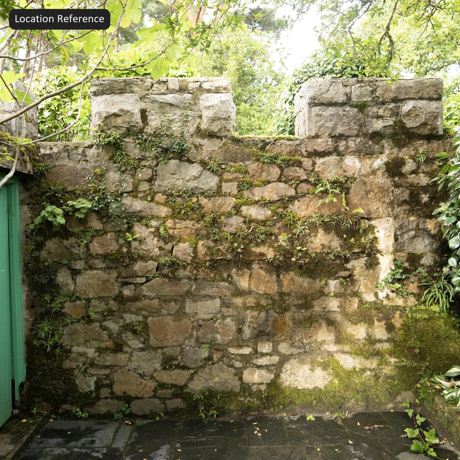 Machové buriny na kamennej stene