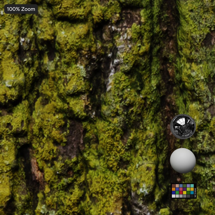 Mossy Bark Texture