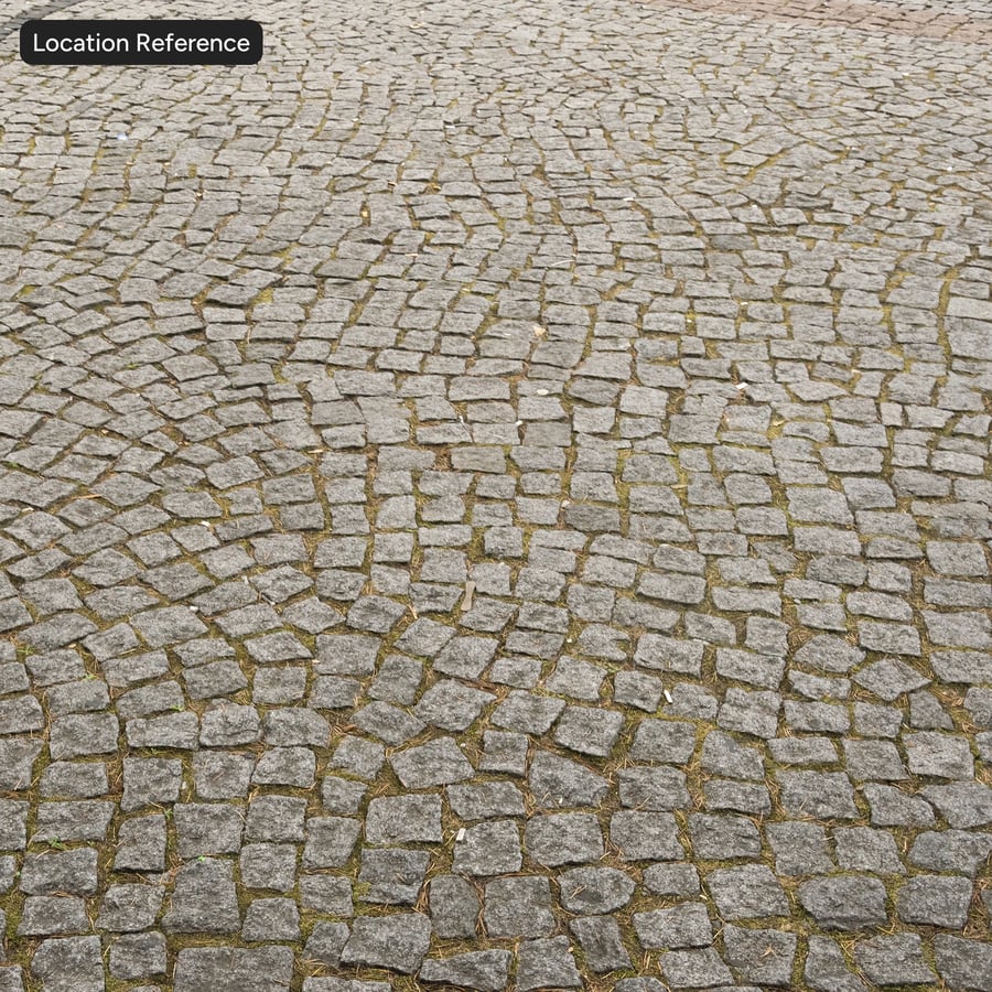 Vecchio ciottolato con texture di aghi di pino