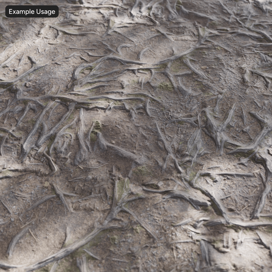 Textura de raízes de árvores na floresta