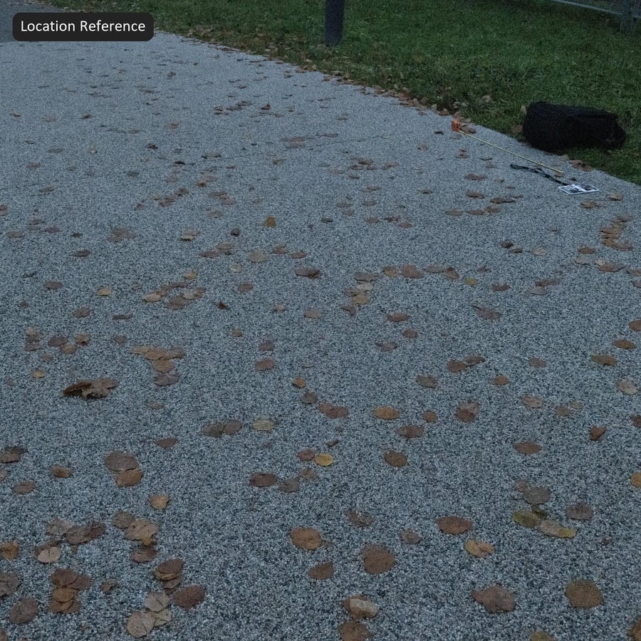 Fallen Leaves on Aggregate Concrete Sidewalk Texture