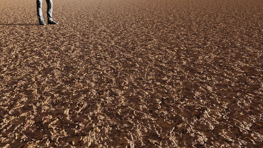 Dried Maple Leaves Ground Texture