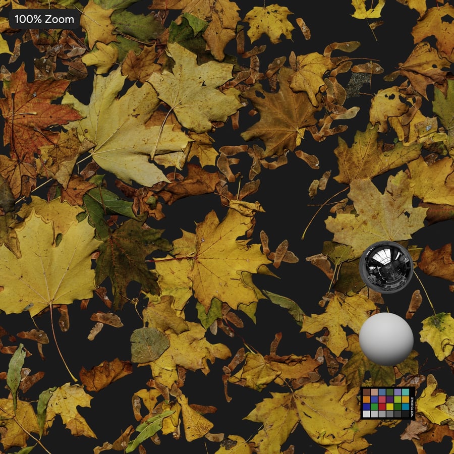 Fallen Leaves Decal Texture