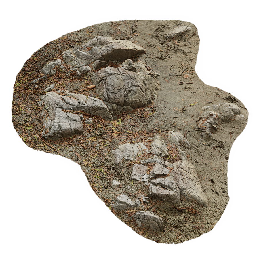 Medium Low Cracked Beach Rock Model