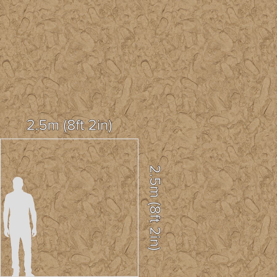 Footsteps on Sand Texture, Brown