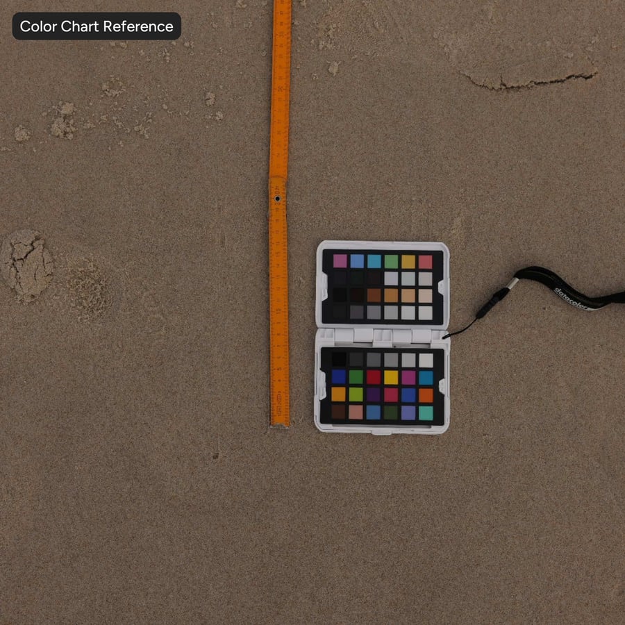 Textura de pegadas em areia molhada