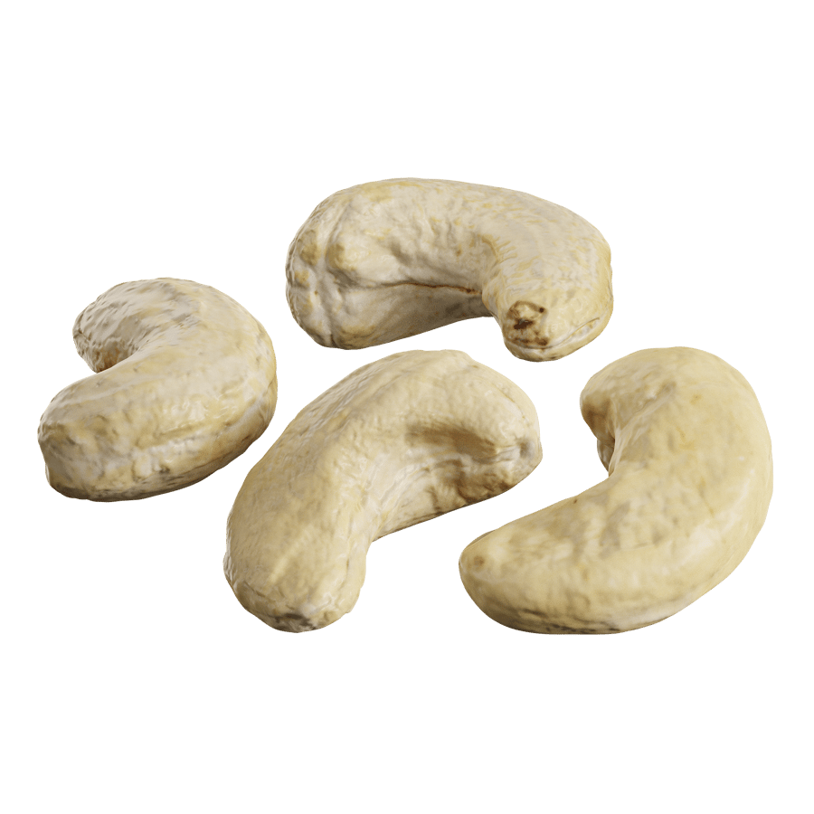 Raw Cashew Nuts Model
