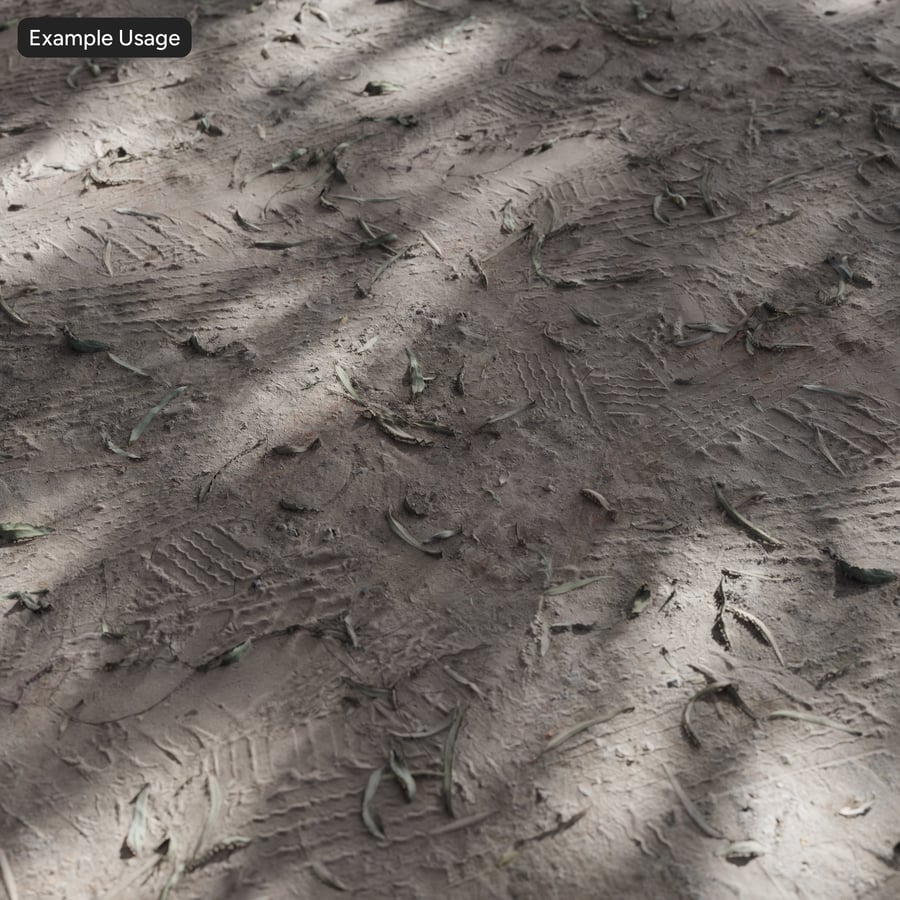 Hojas secas y marcas de neumáticos en la textura de un camino de tierra