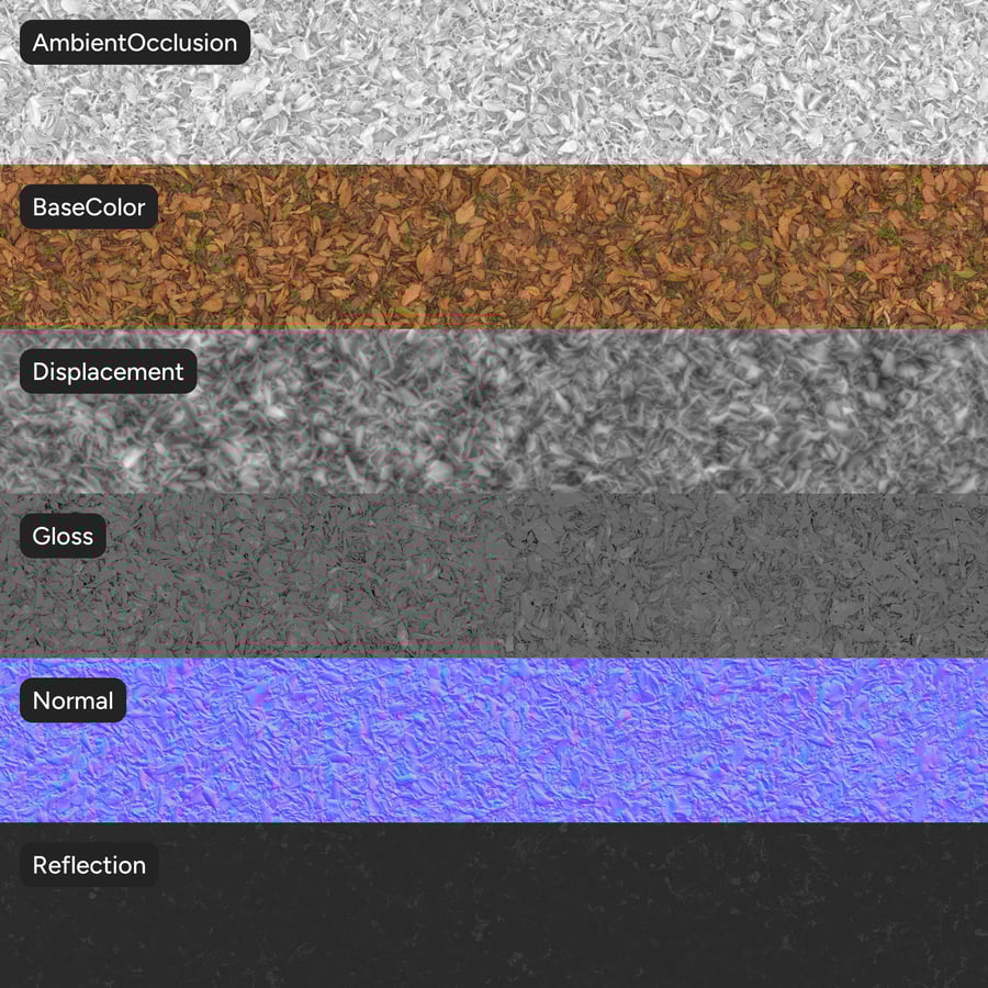 Textura de folhas de olmo secas