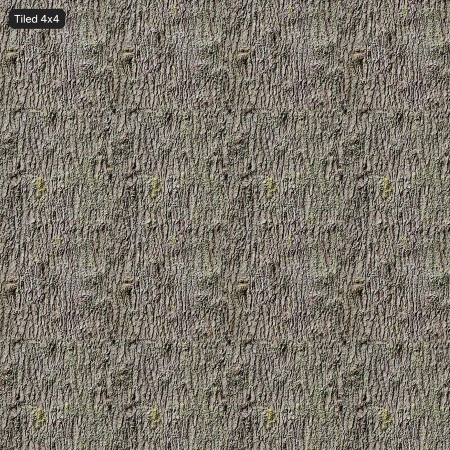 Mossy Deciduous Bark Texture