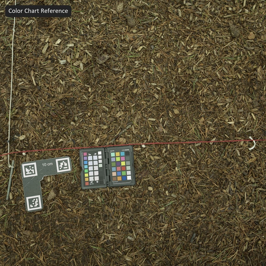 Houtspaanders Textuur