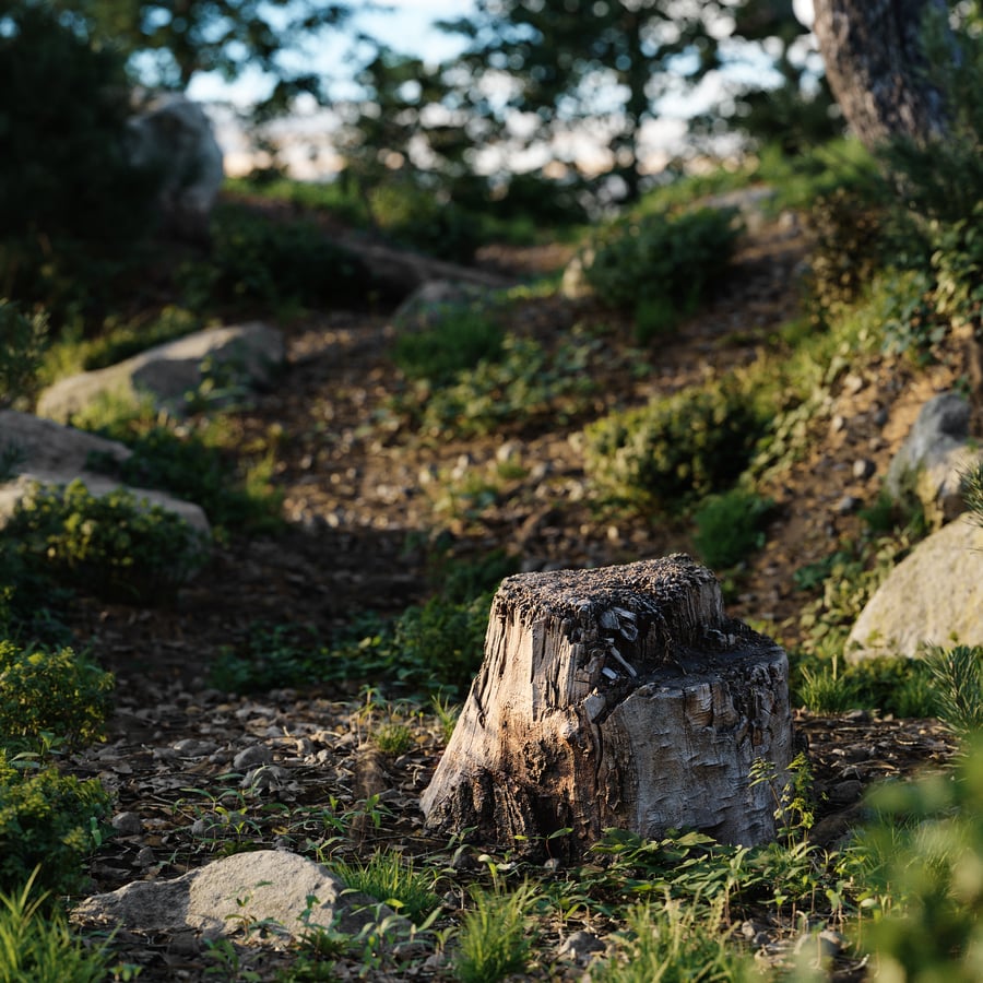 Short Cut Bare Splintered Stump Model