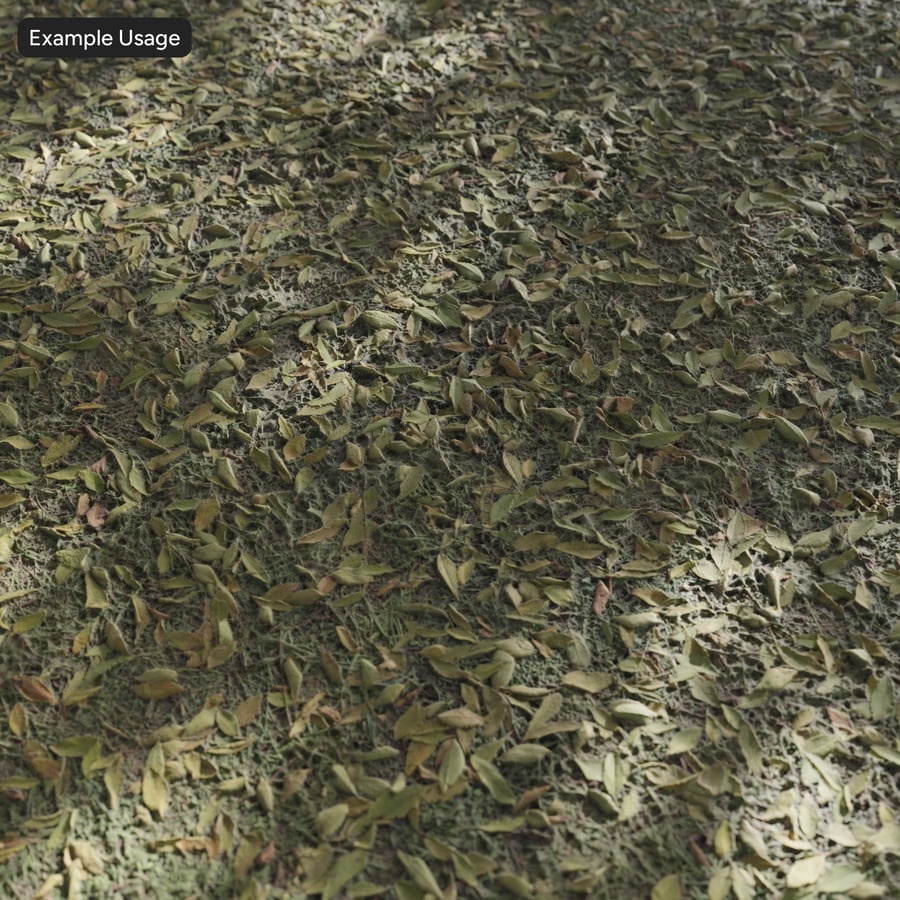 Leaves on Grass Texture