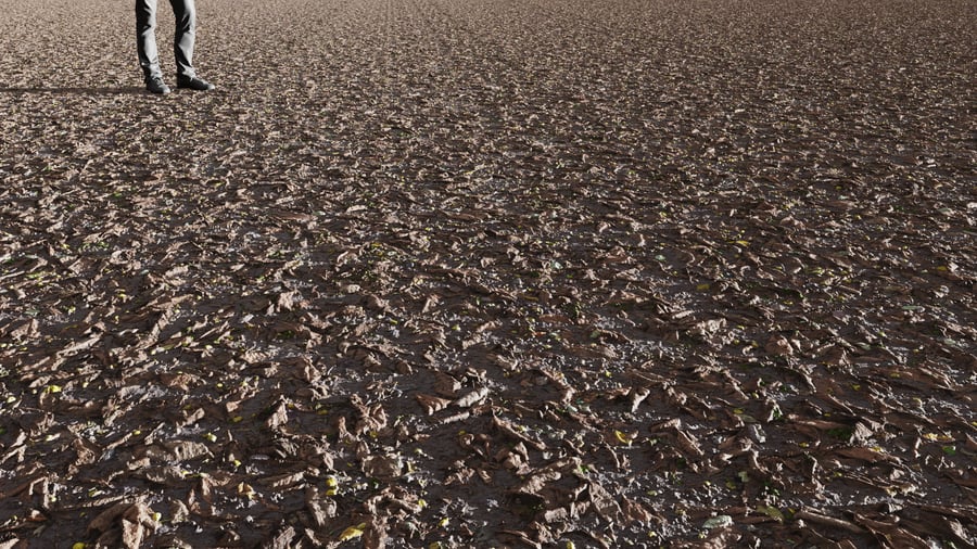 Scattered Leaves Mud Ground Texture