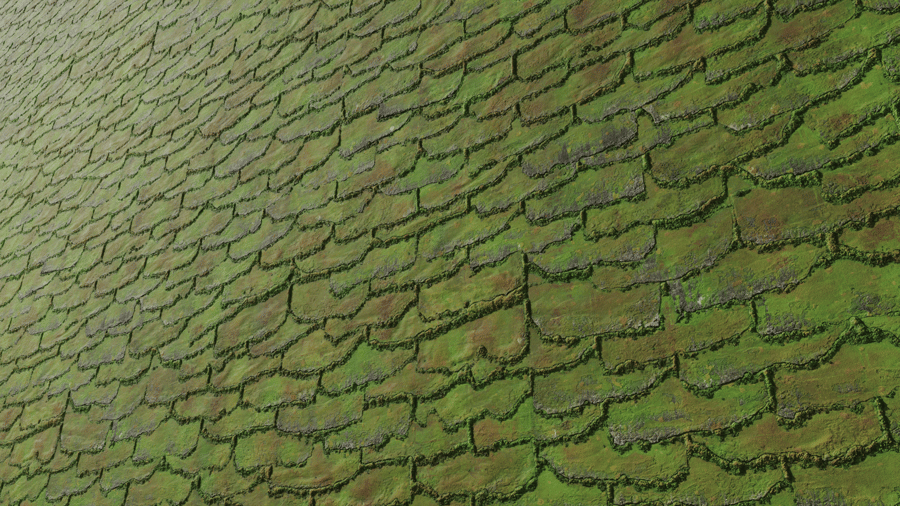 Heavily Damaged Mossy Roof Shingles Texture