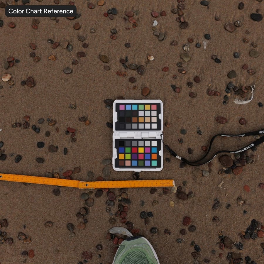 Textura de seixos em areia de praia úmida