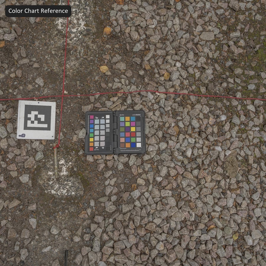 Mixed Patchy Leaves on Gravel Texture