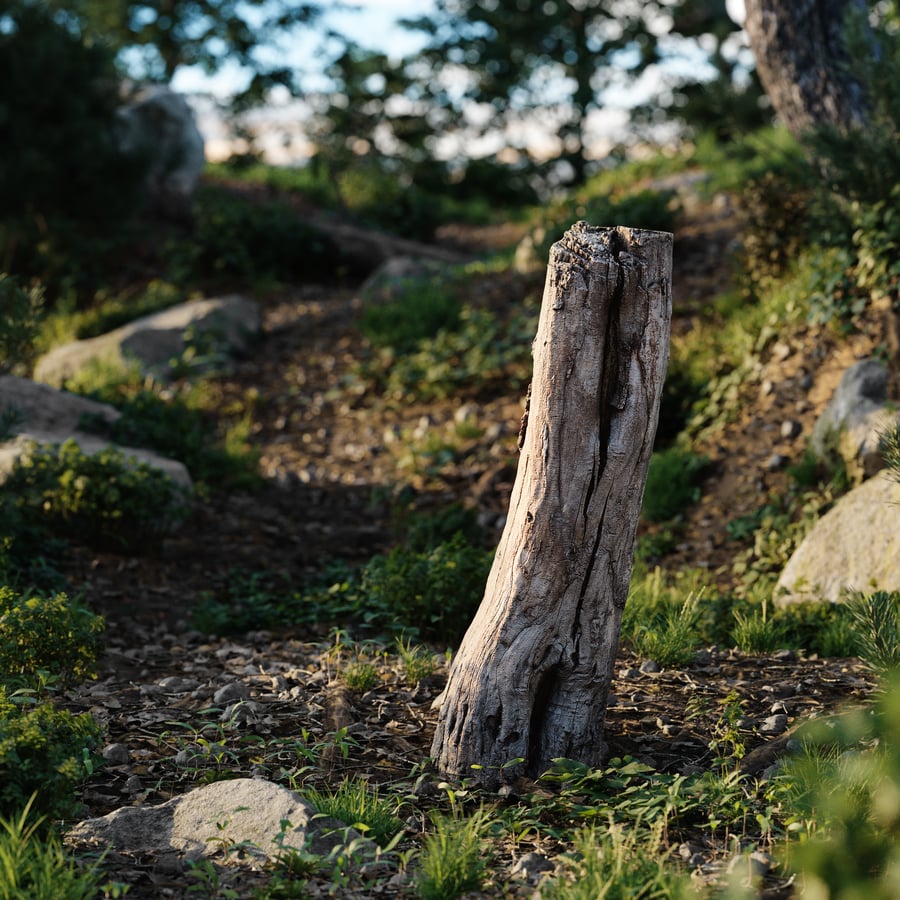 Tall Cut Bare Split Stump Model