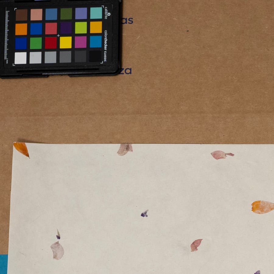 Gampi Paper Texture with Bougainvilla Flowers, Ivory