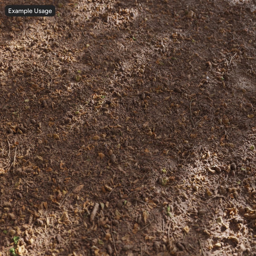 Leafy Dirt Forest Texture