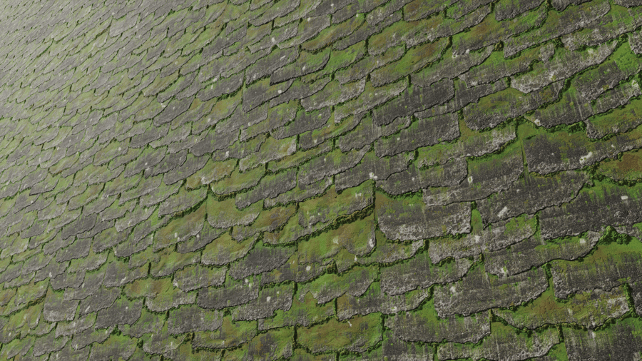 Damaged Mossy Roof Shingles Texture