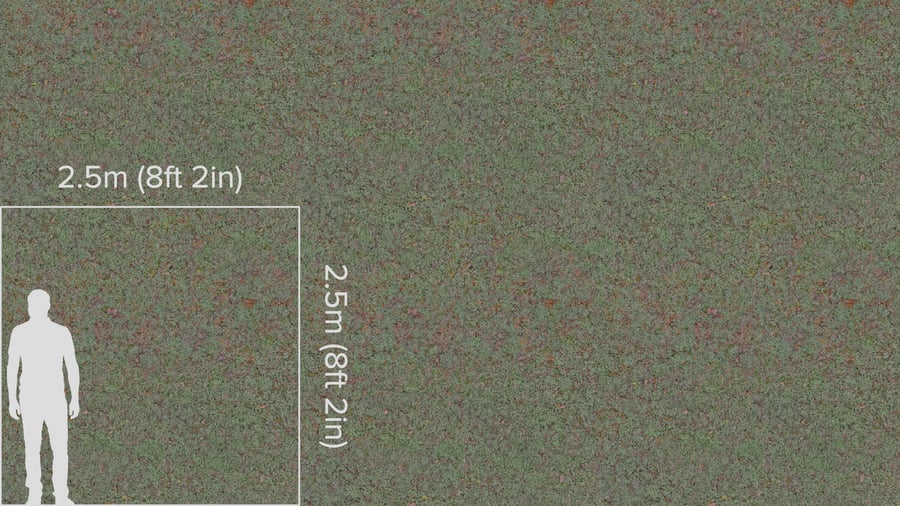 Textura musgo, verde pálido