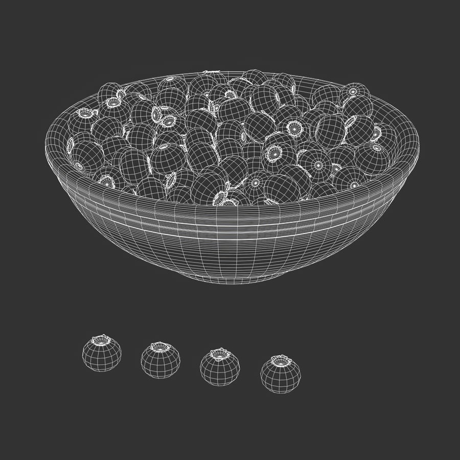 Blueberries Fruit Food Model