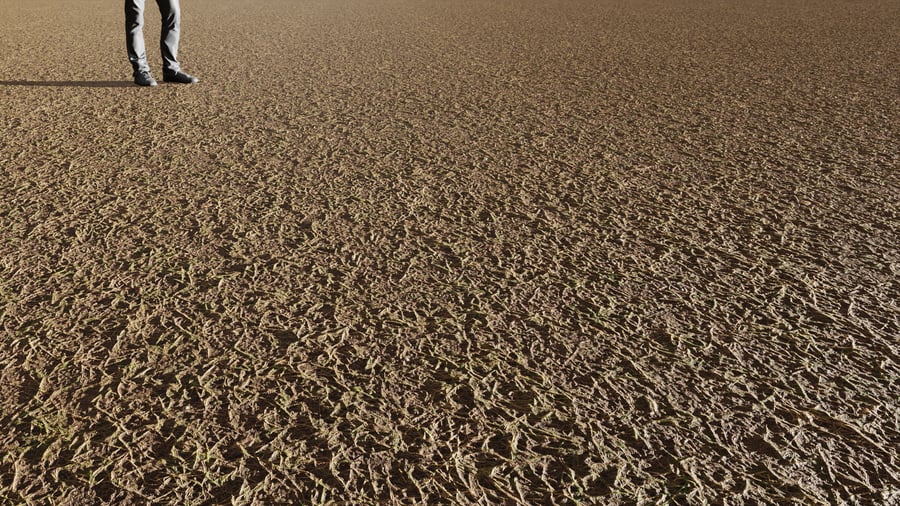 Sparse Grass Ground Texture, Brown